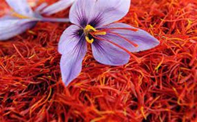 Trade of Saffron on IMEꞌs Export Ring