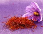 IME Customers Purchased 800 kg of Saffron